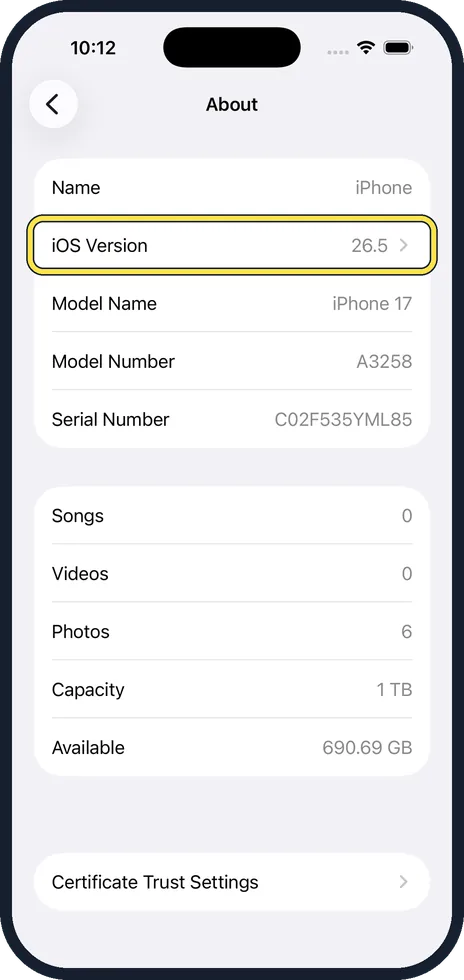 iPhone screen: Read the iOS version and model